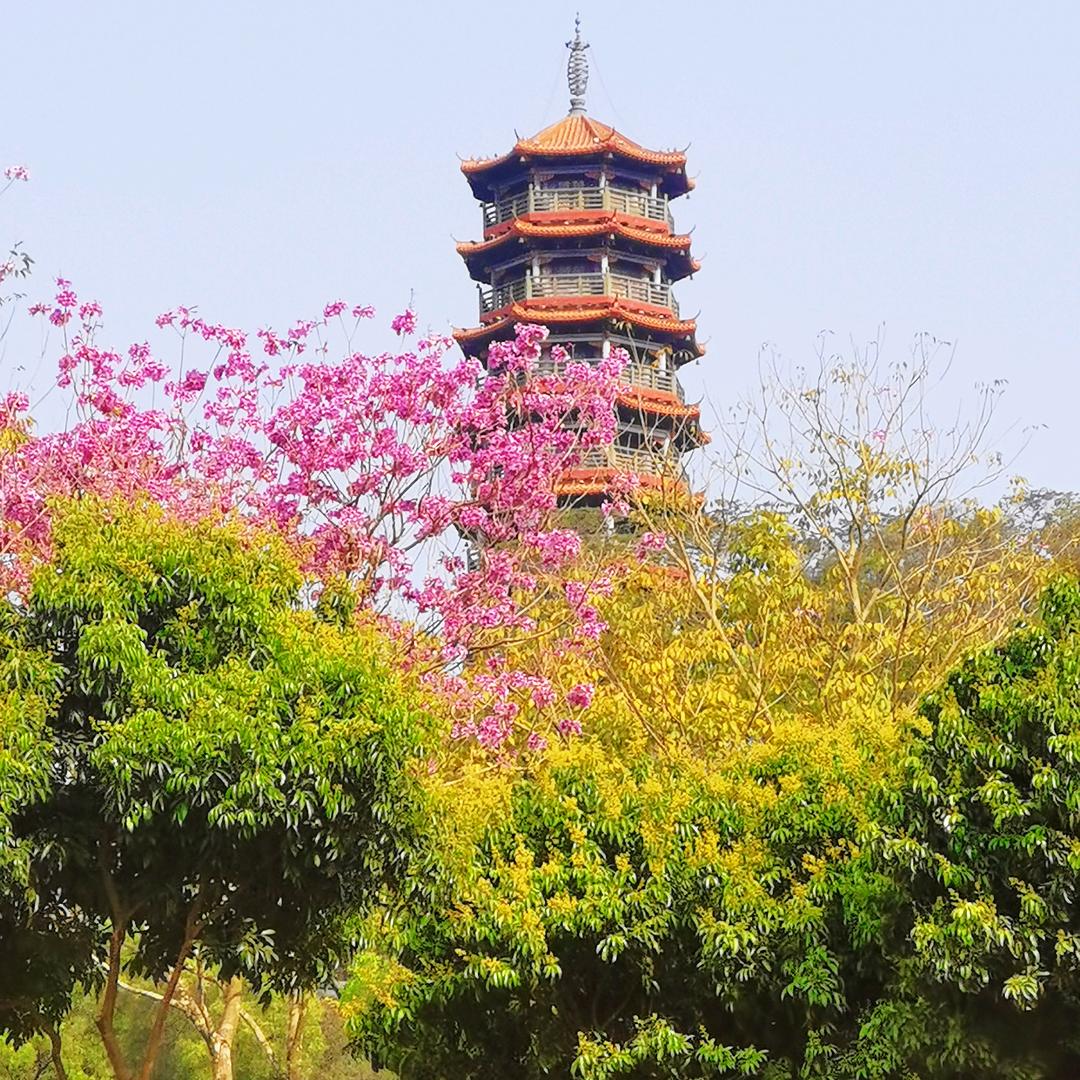 墨世界