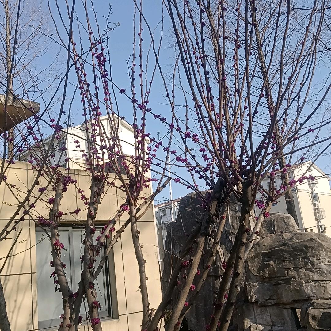 我们终究是过客