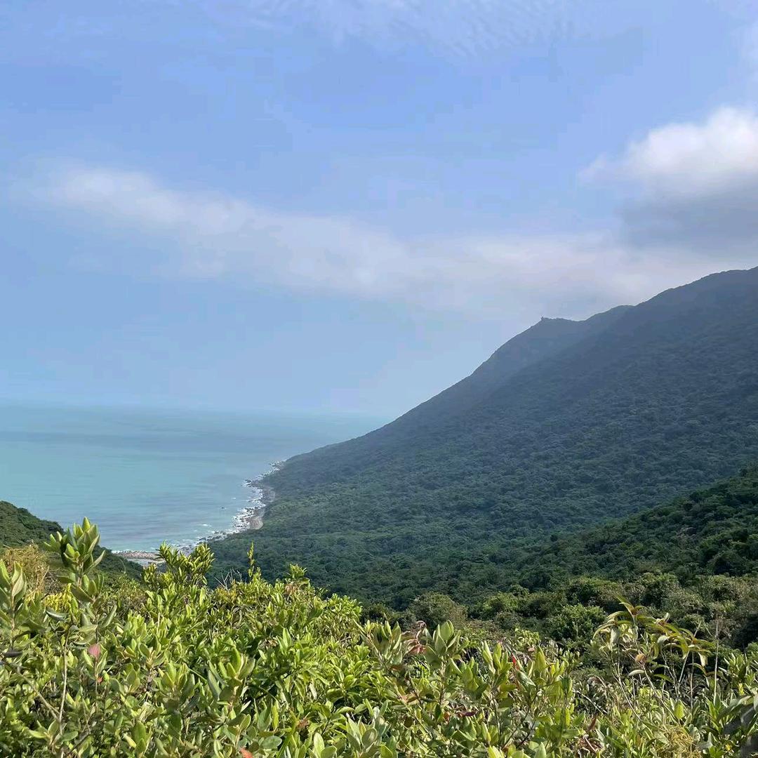 大林的生活小记