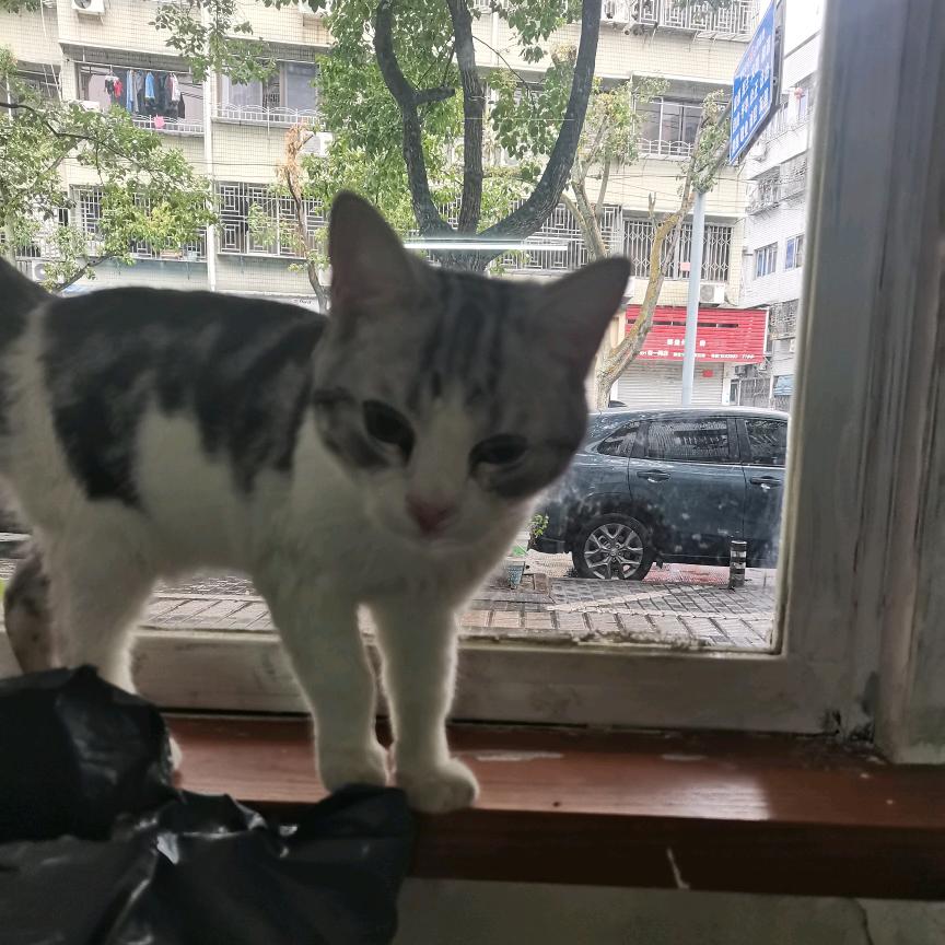 夫人总裁已经10年没笑了