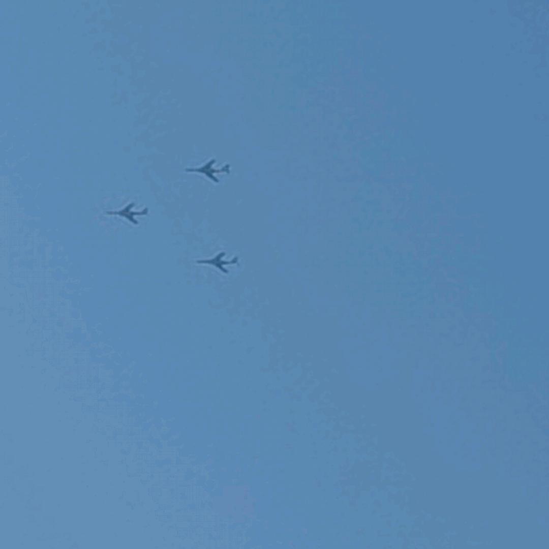 豫见李