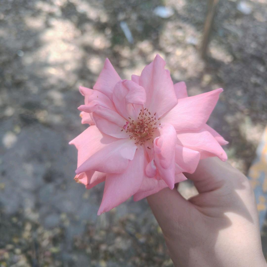 心🧡说漫