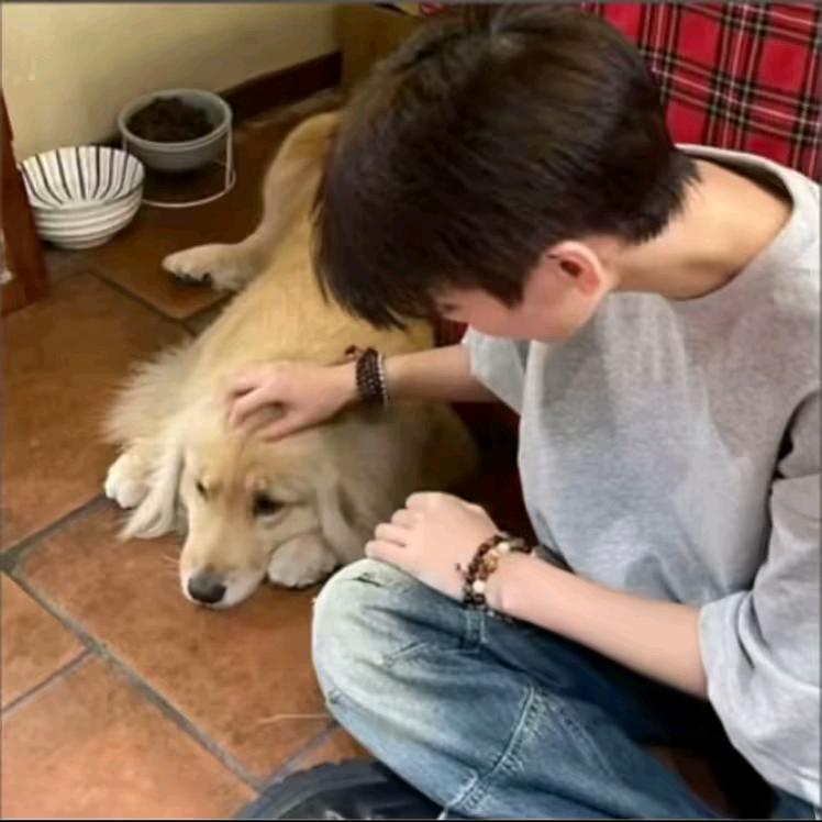 不重要就是不重要