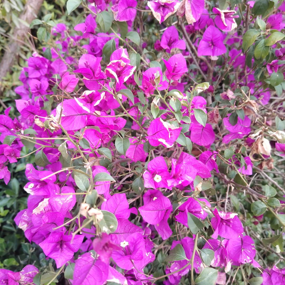 苦中取乐，，喝点小酒