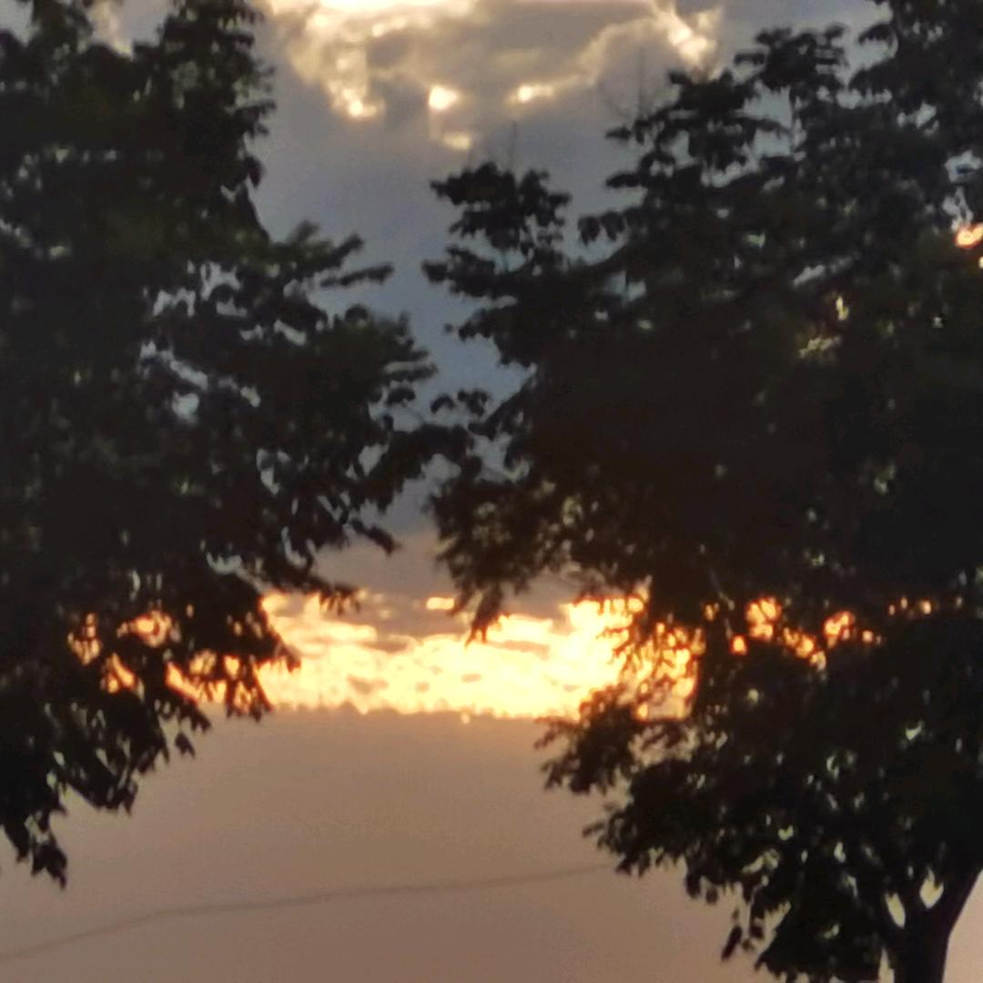 你听不见我说话？