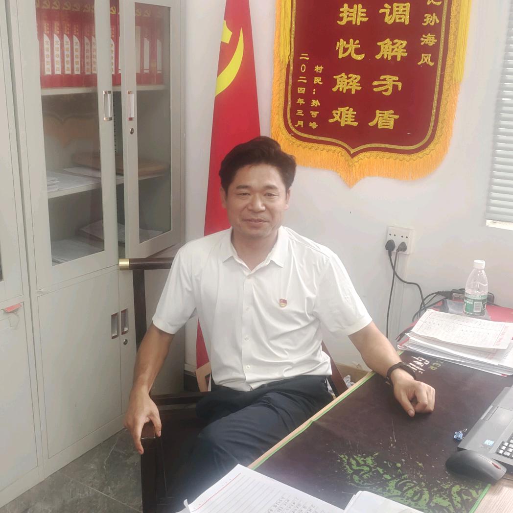 中药书记