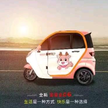 杭州临平鑫鑫电瓶车商行