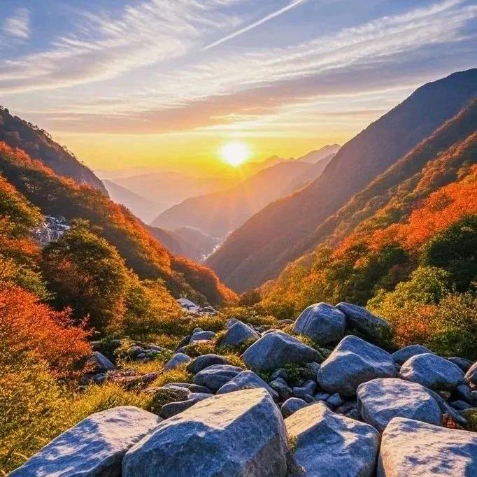 翟半仙