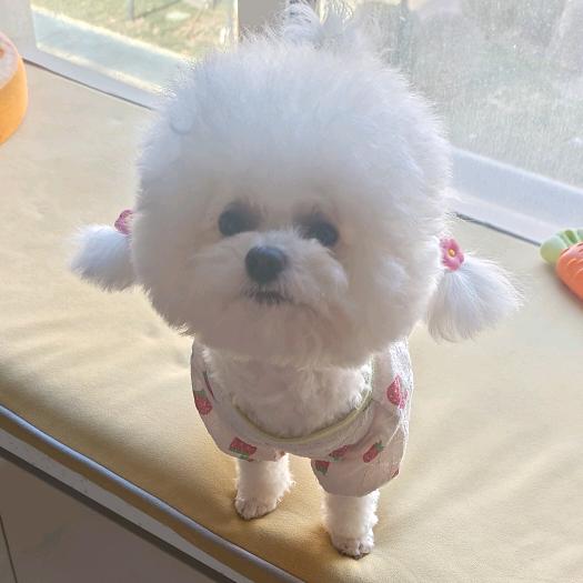 ℳঞ ໌້ᮨっ丶晓蕊