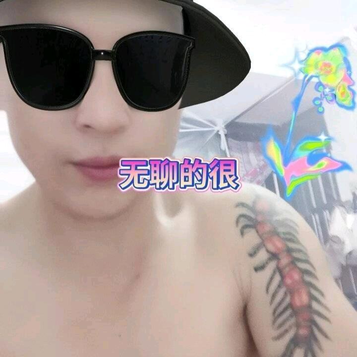 专业收狗