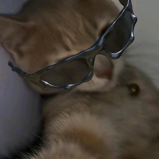 正不错