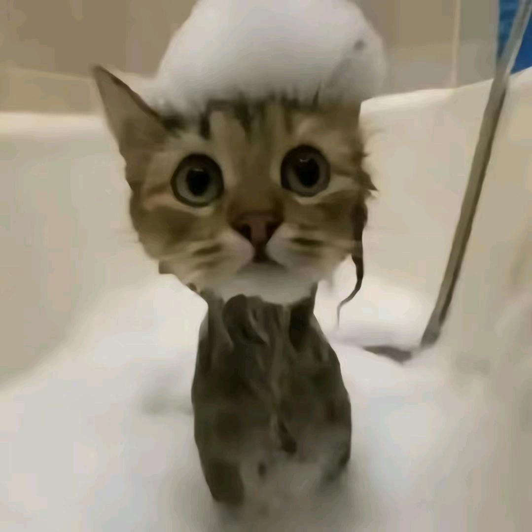 -xx.
