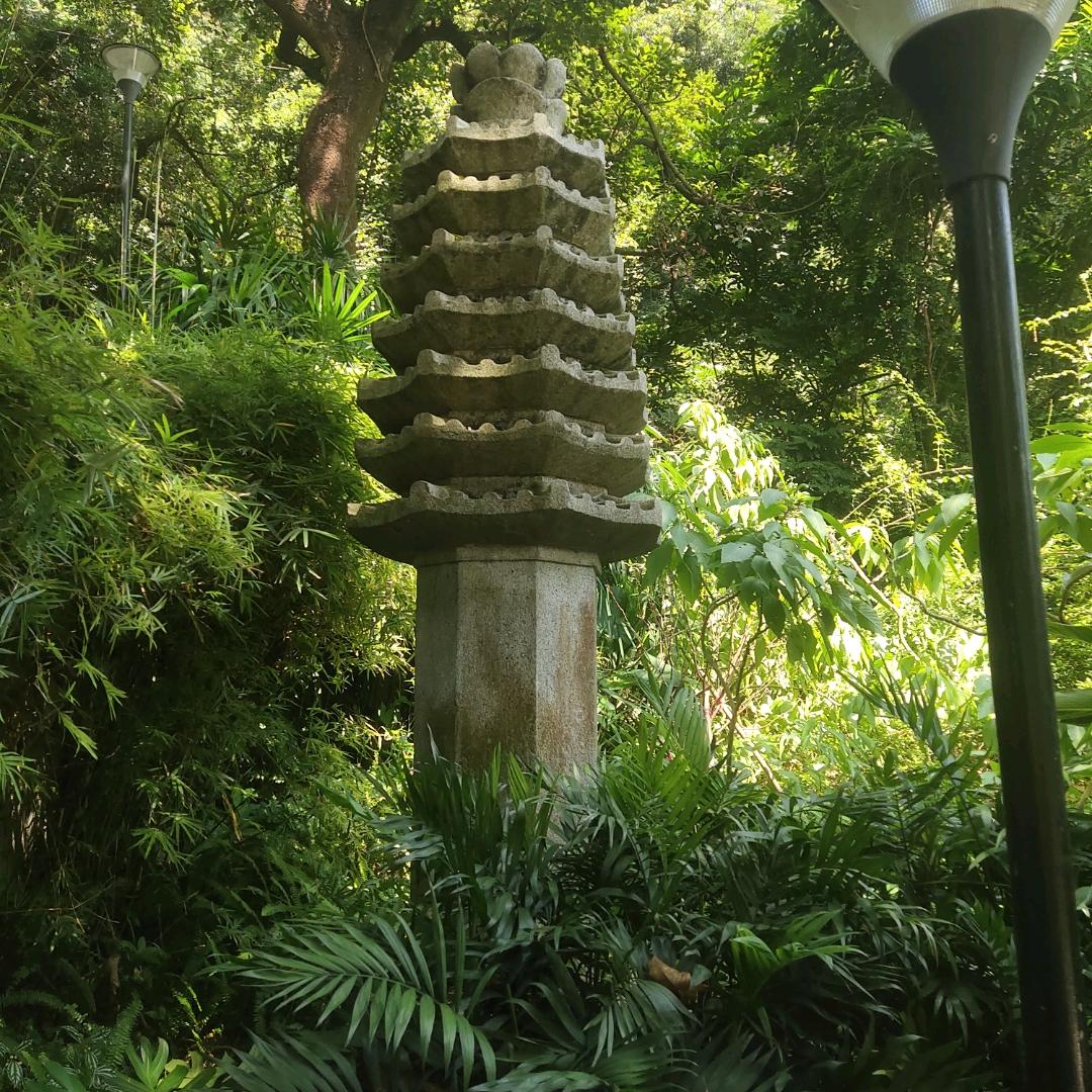 螺丝哥(走播首播不定时开播)