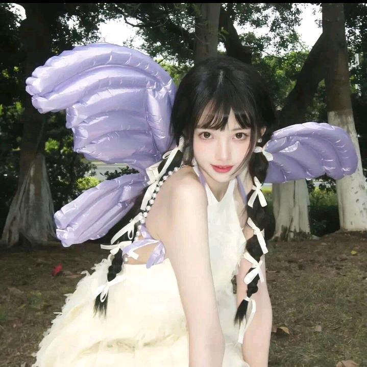 白天使与黑魅瑰