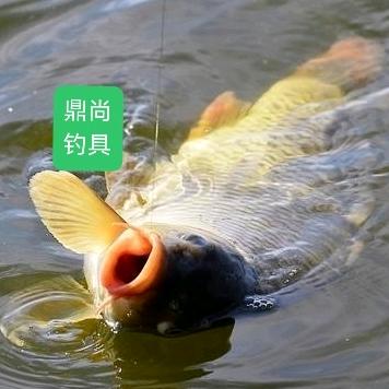 鼎尚渔具工厂店