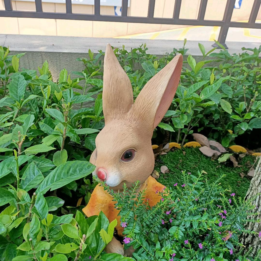一风轻轻起