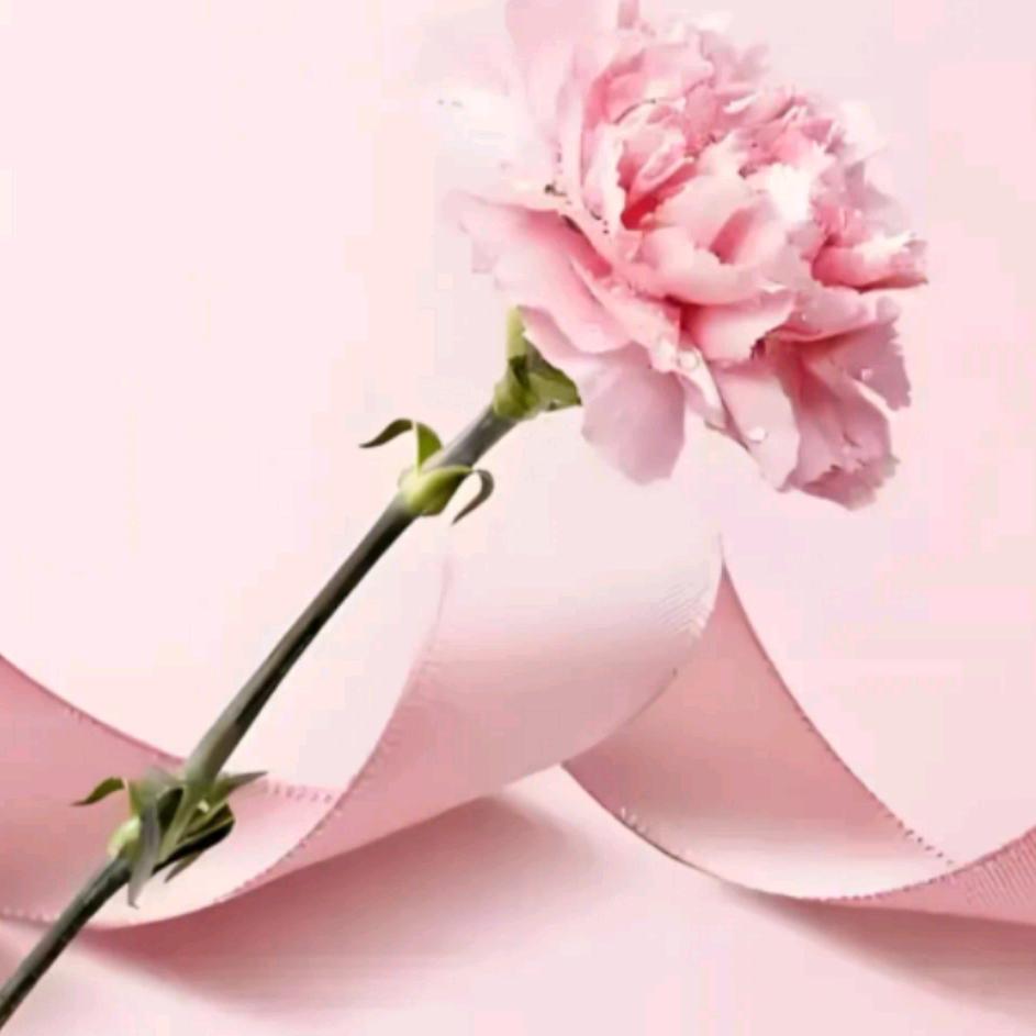 沧州东方罗尔王老师