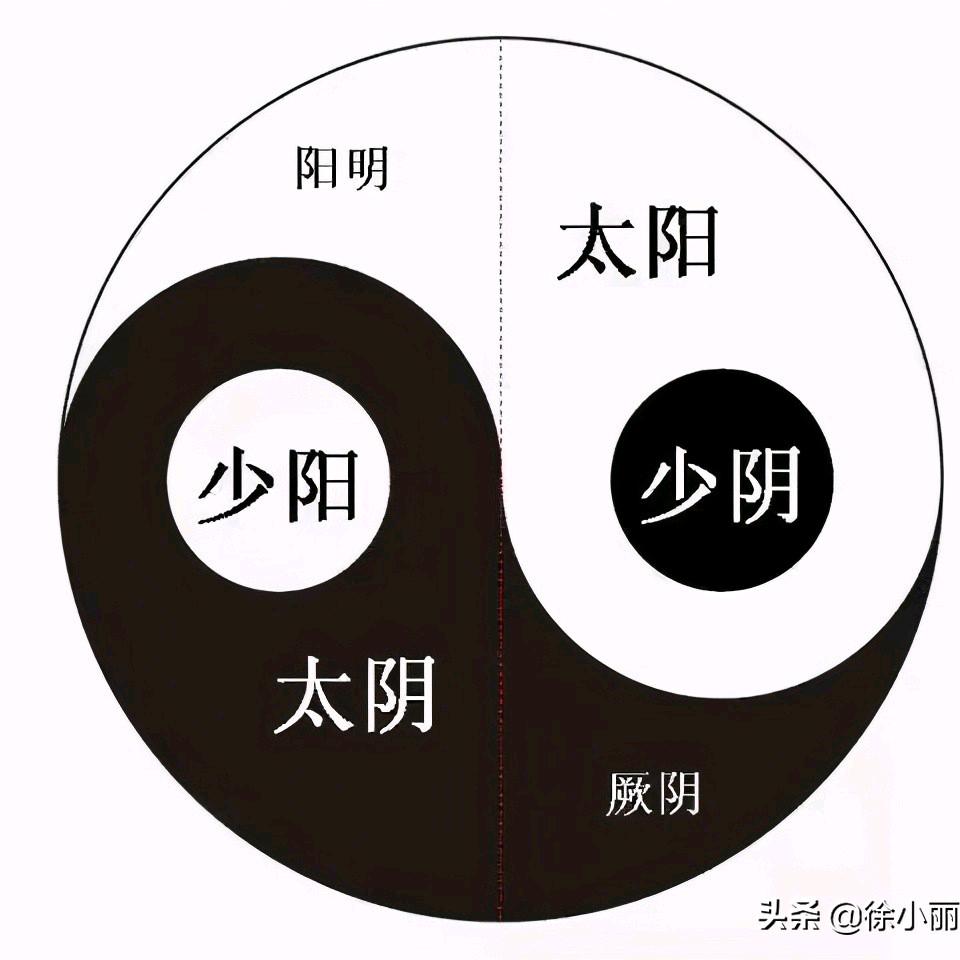 西安正林中医药