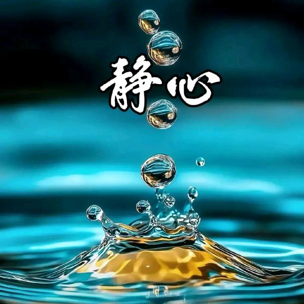 红星哥