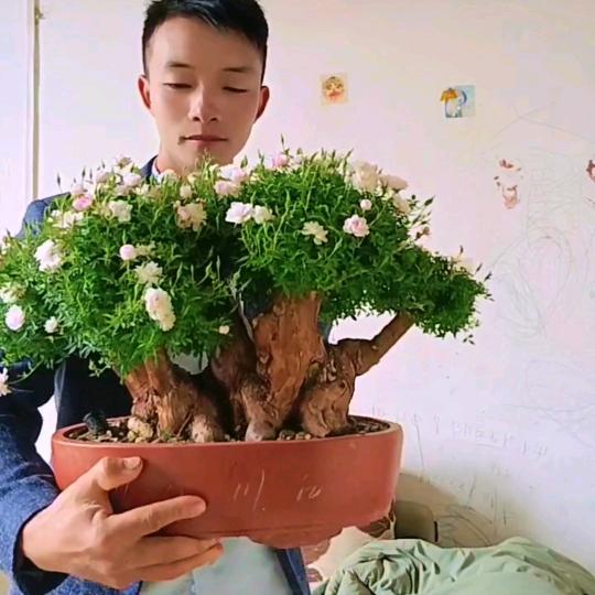 小宽农业