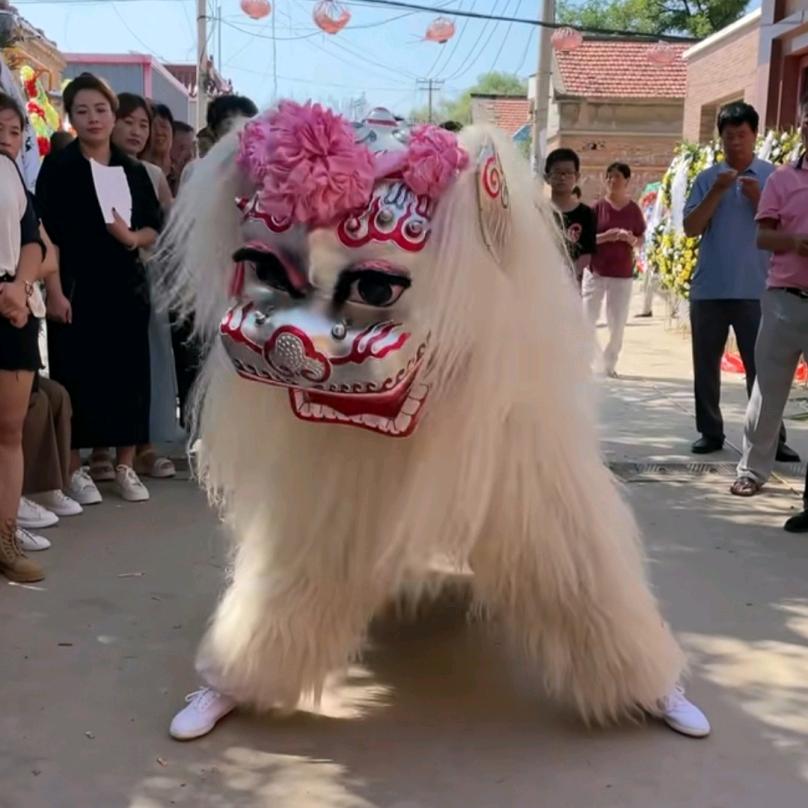 【凰腾舞狮】小白狮