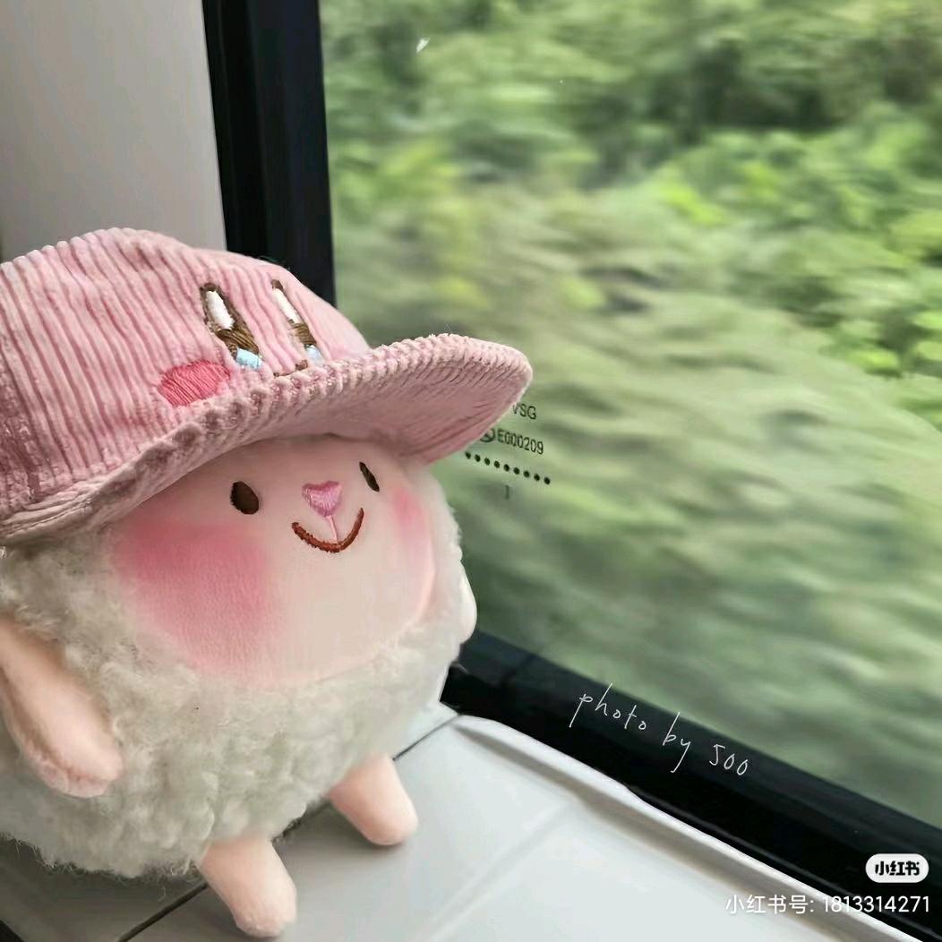 丸丸嘛