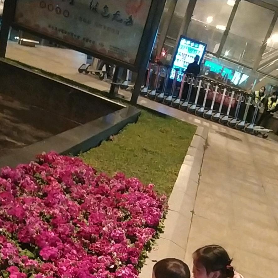 群ovo