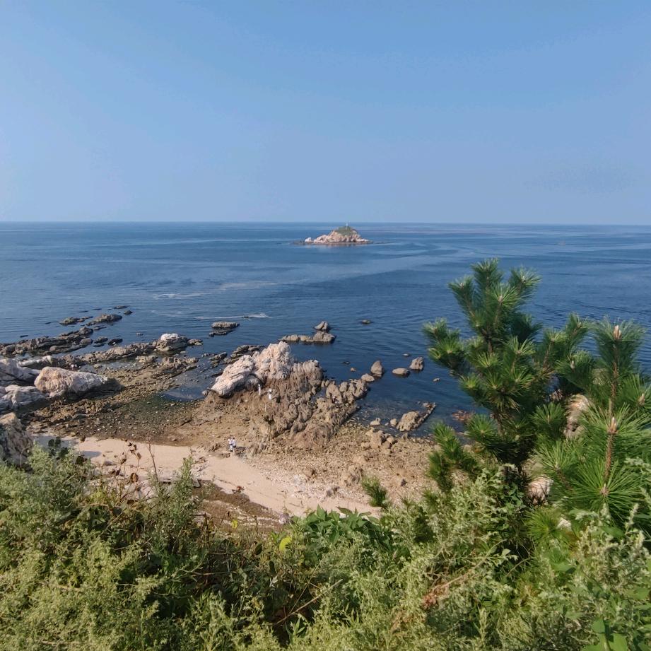 聽風
