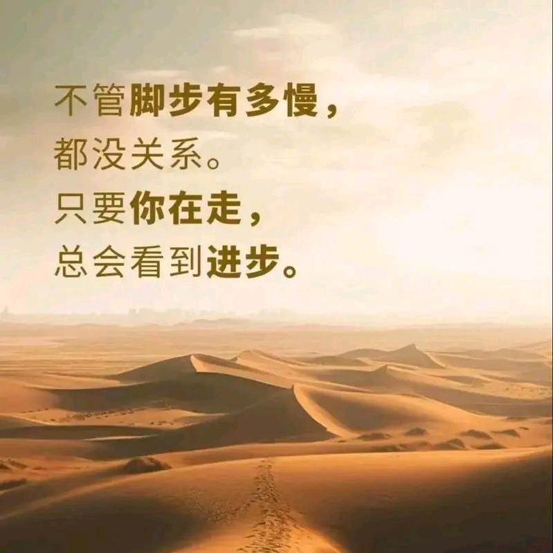 .  宝君