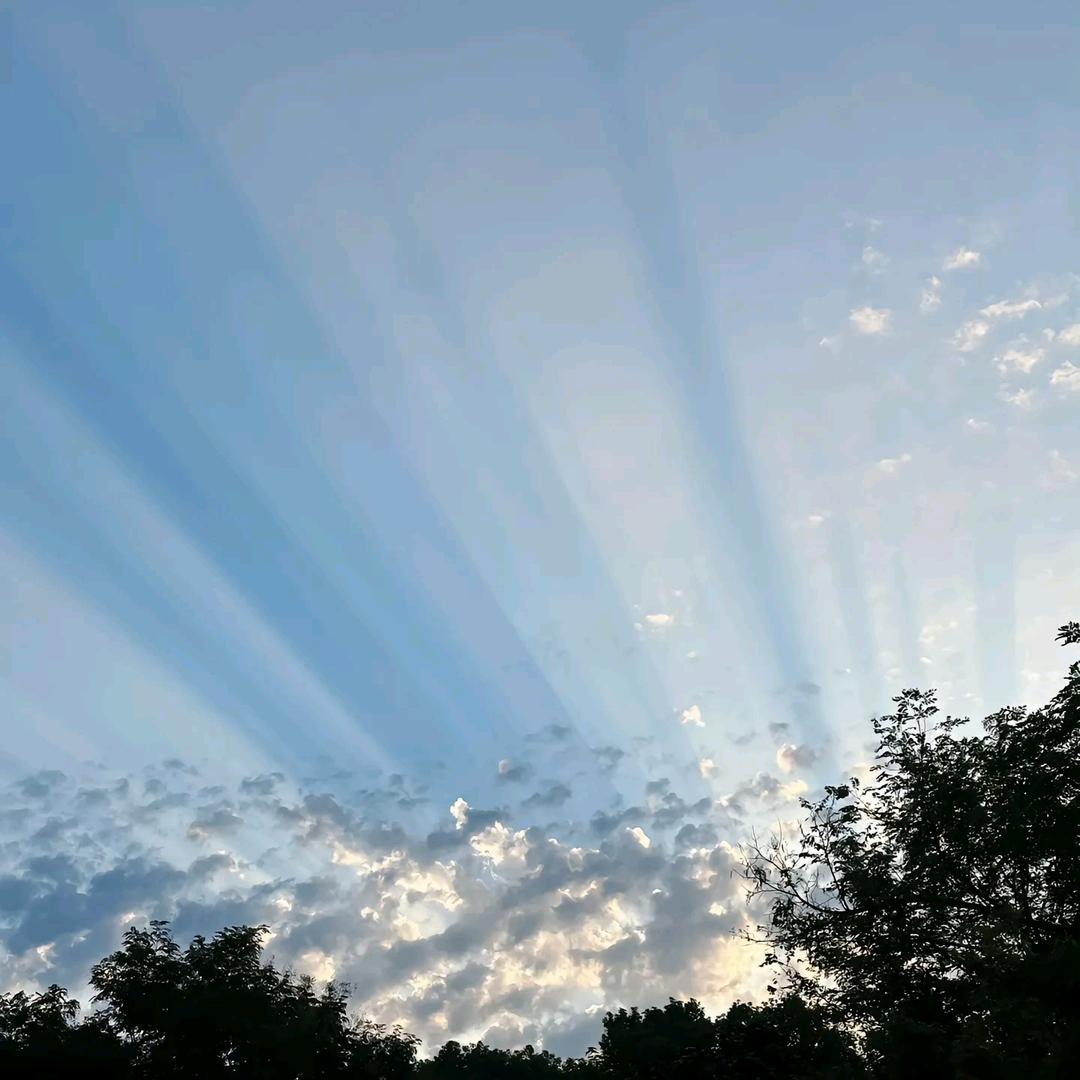 爱老虎油