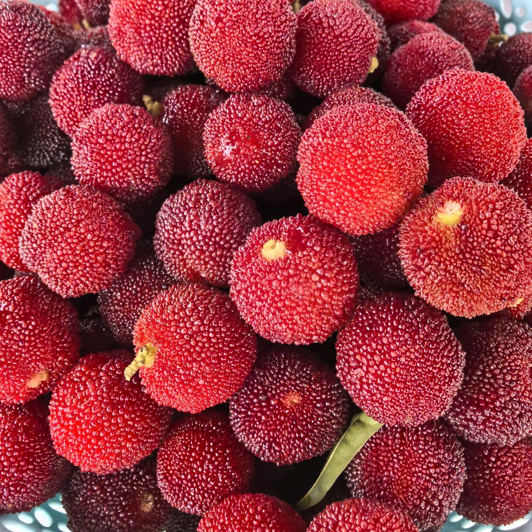 那雾山杨梅（农产品）