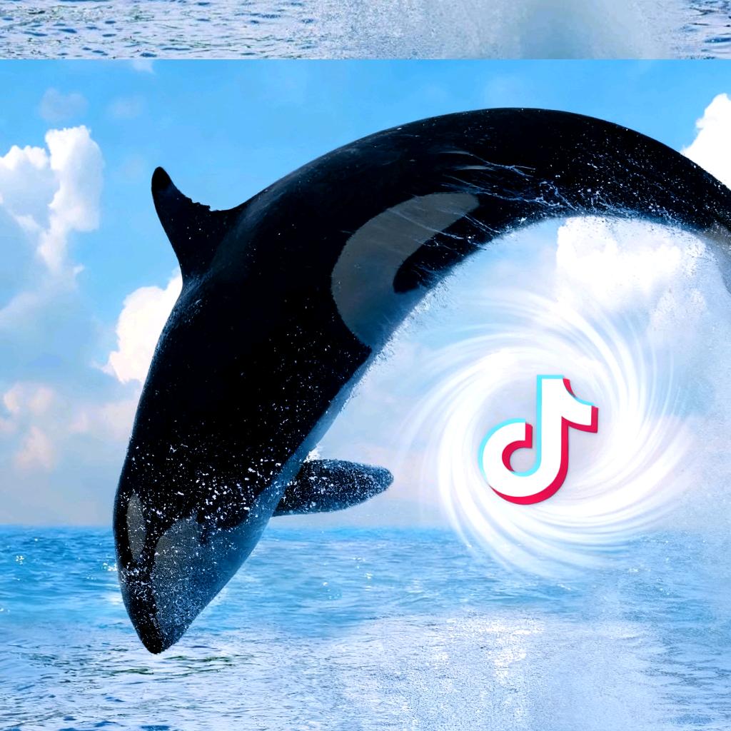 开  心   每  一  天