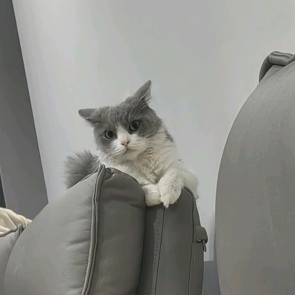 用户123456