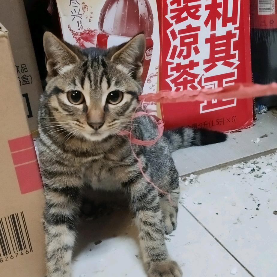 纪安✔