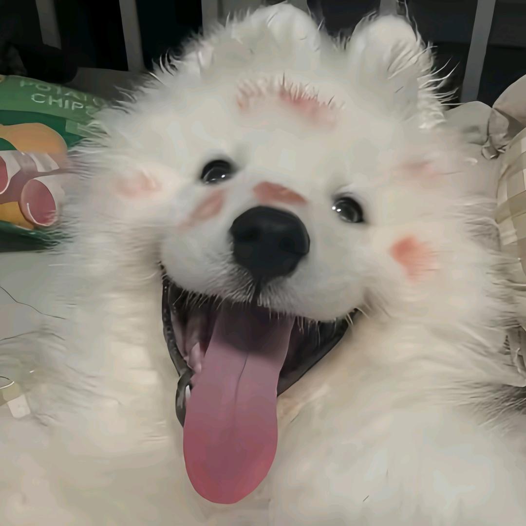 林姐,
