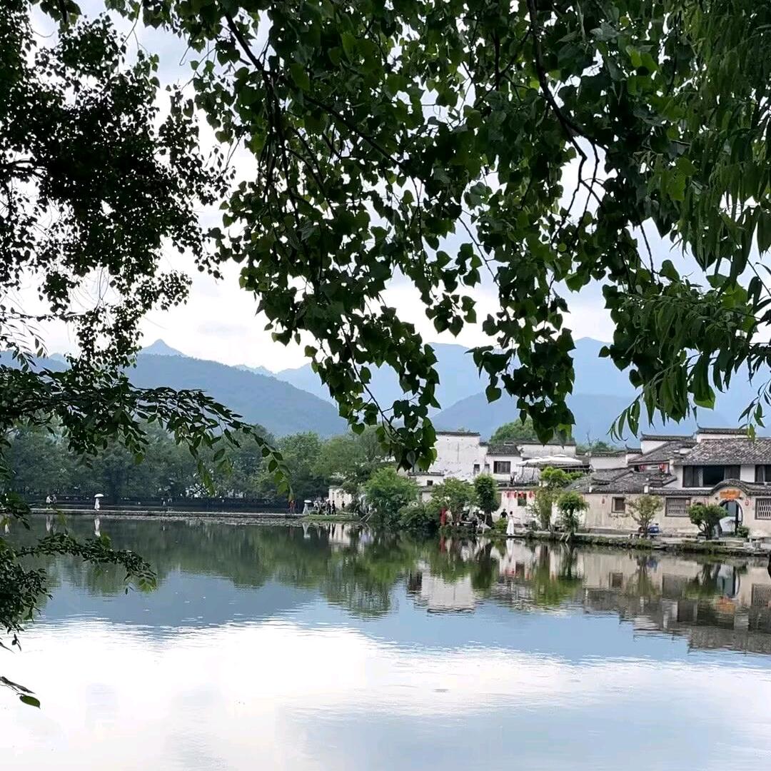 王家小少爷