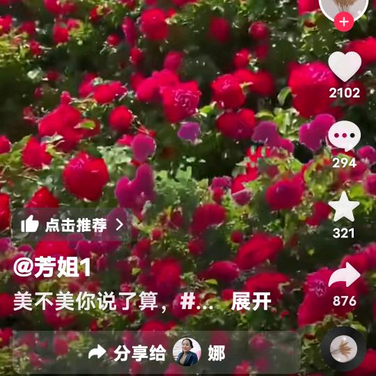 娜娜
