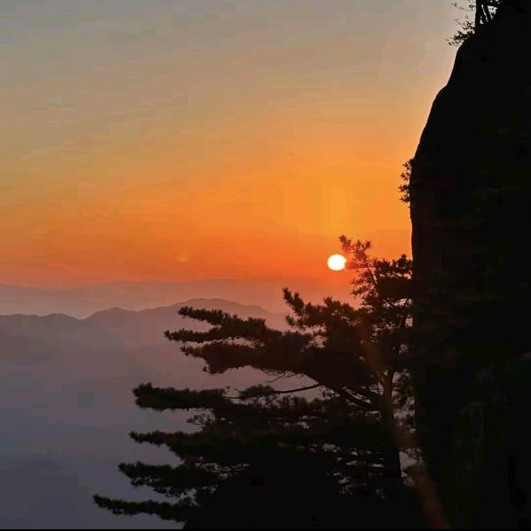 🐐阳光灿烂每一天🌞