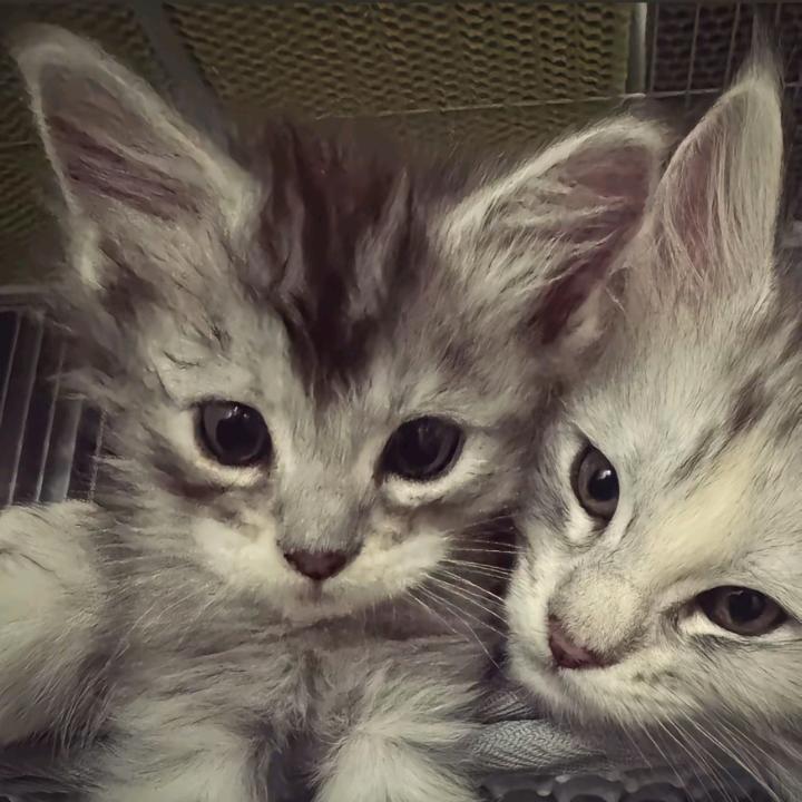 讨厌我的都是筹笔