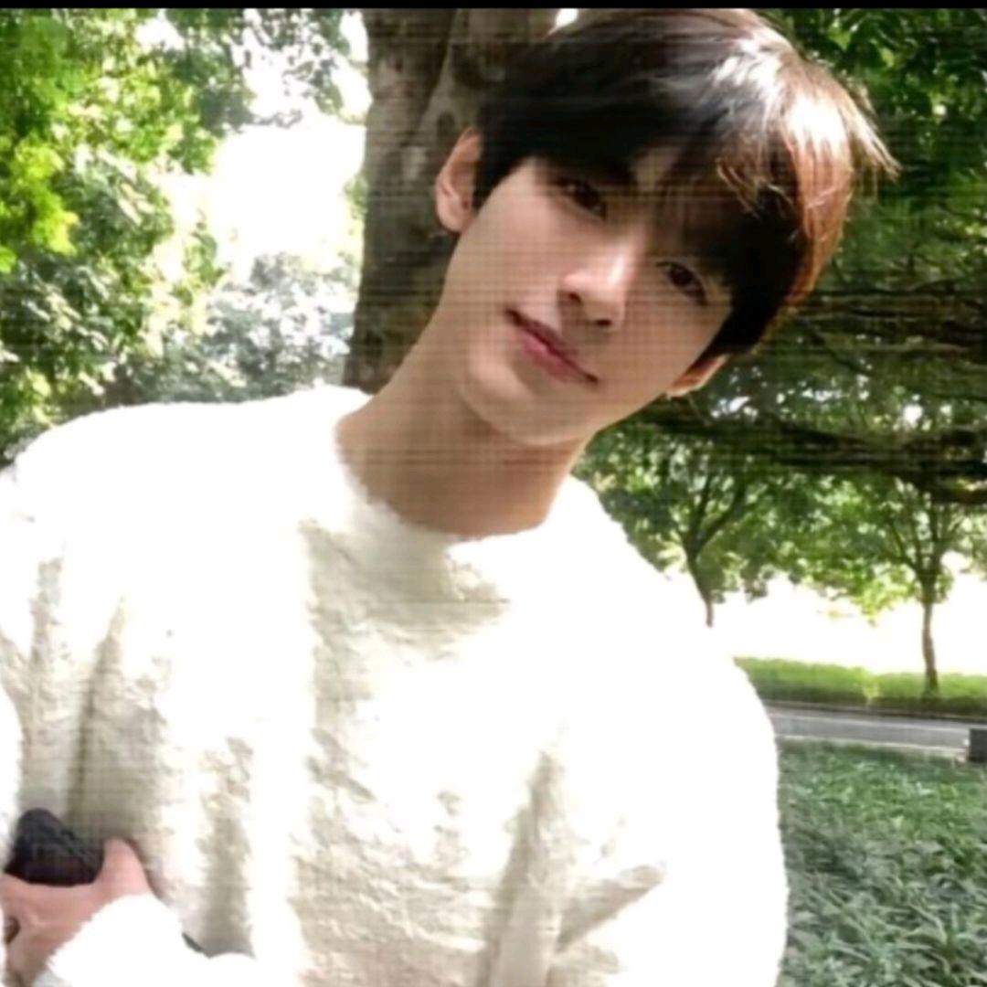 白茶浇灌的风铃草