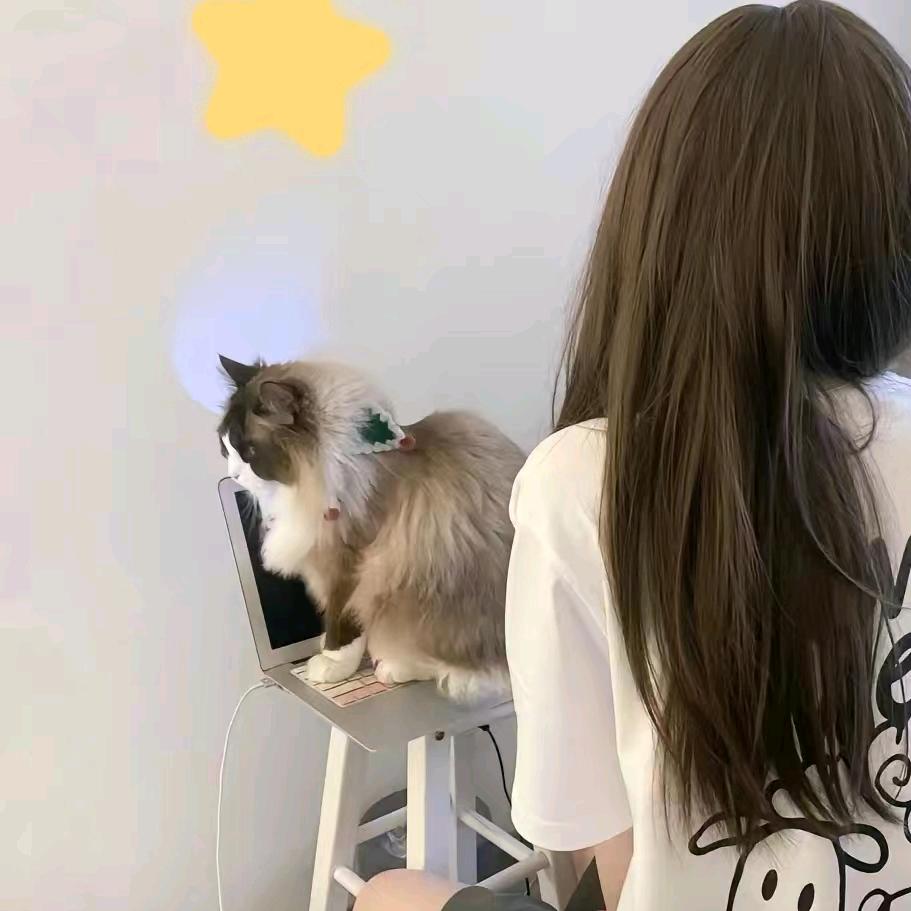 糖果兒
