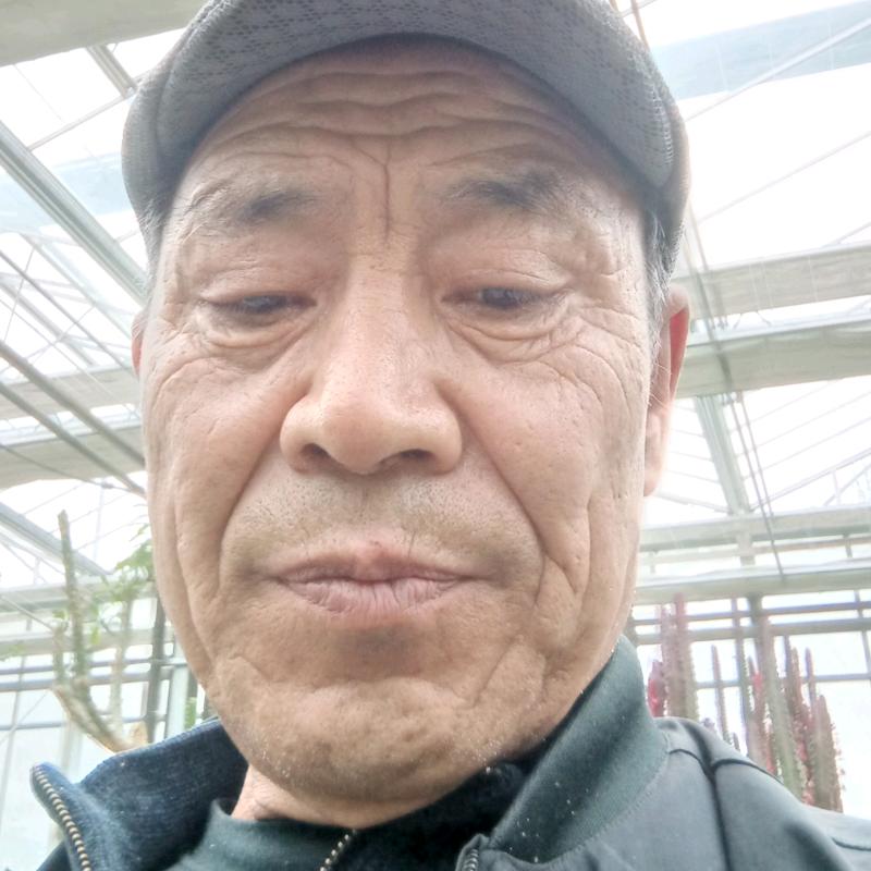 杨总
