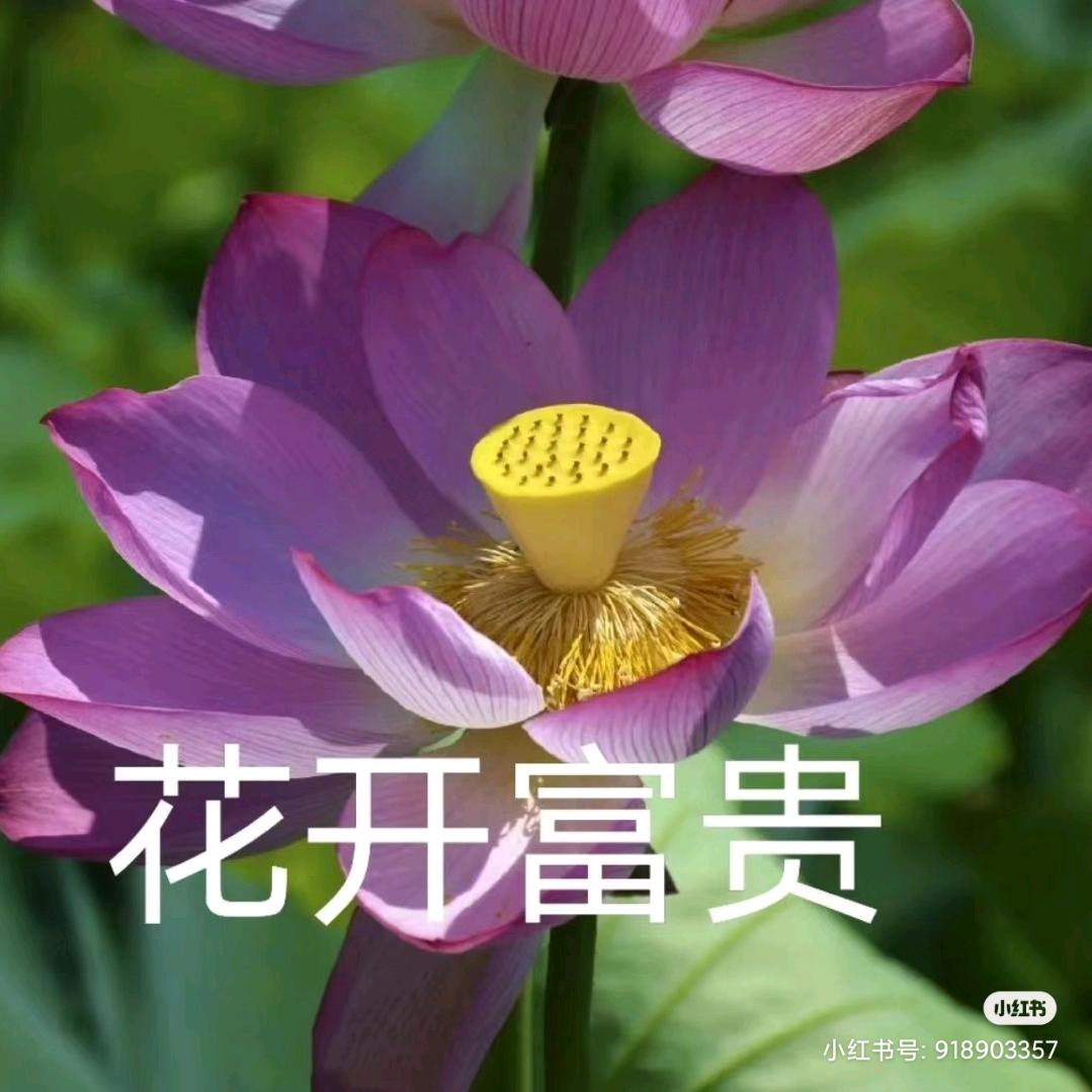 福建●余文乐