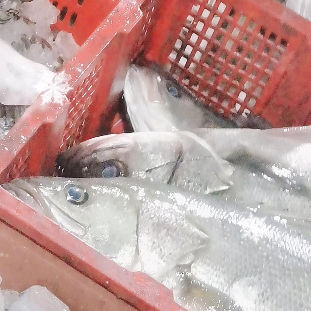 神泉港本港鱼货