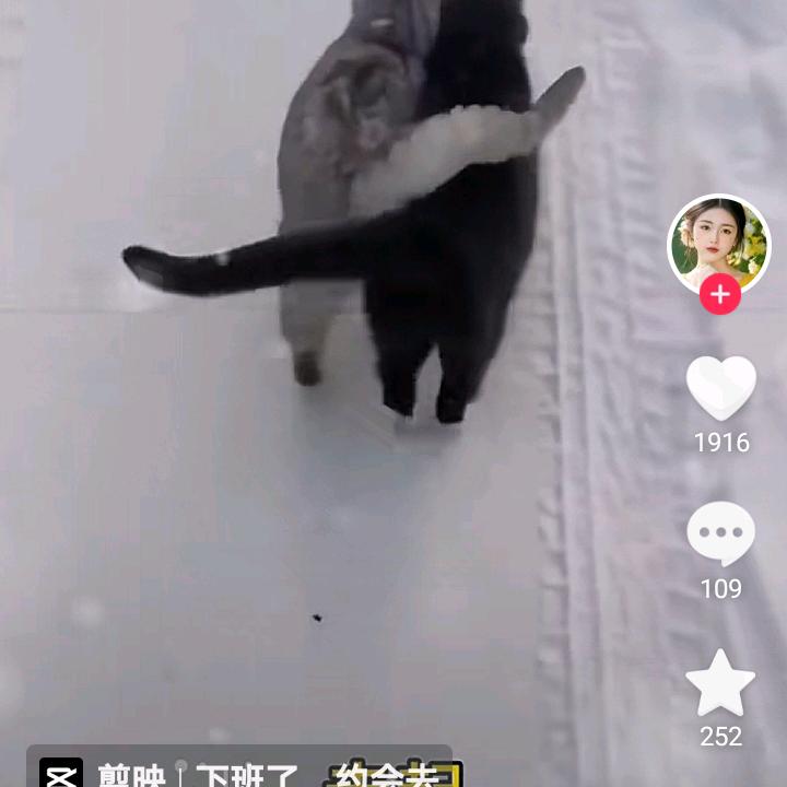 家和万事兴