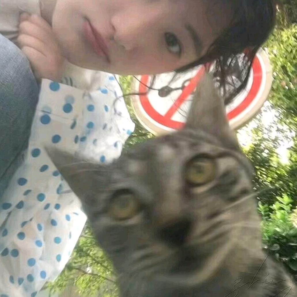 跳跳鱼🐟