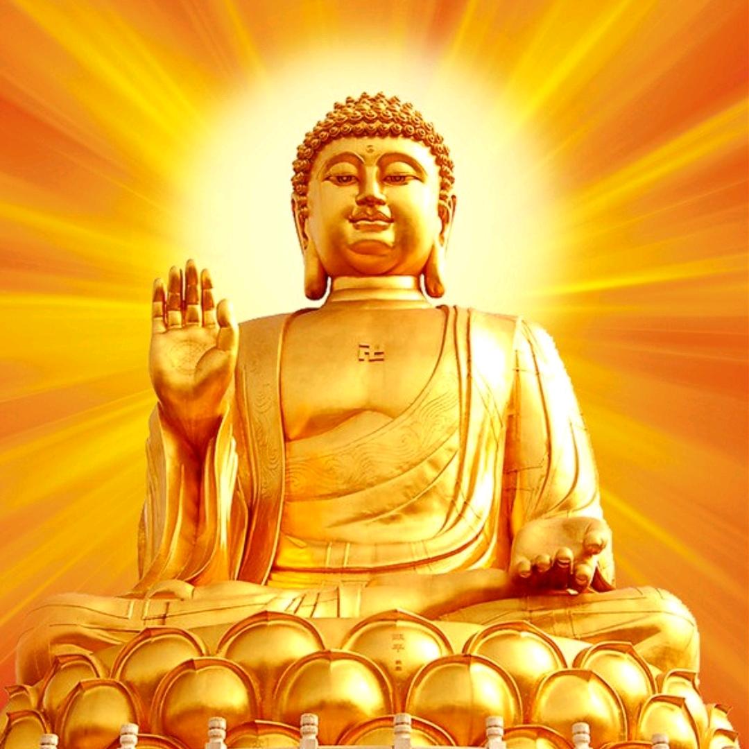 愿人皆安心立命