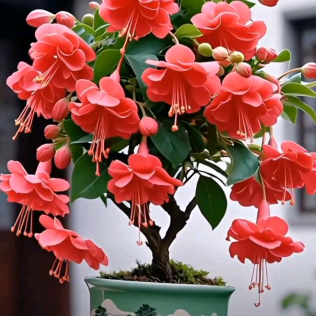 🌜天使🌛☔☔🌙🌙