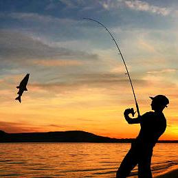 棒棒糖爱钓鱼🎣