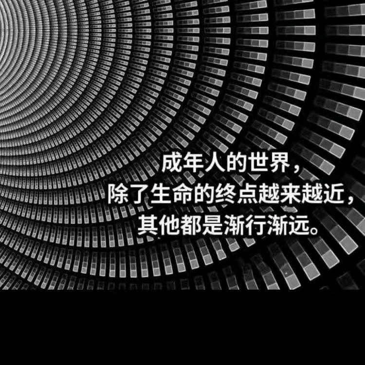 泰山哥